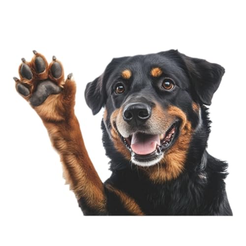 Vinilos adhesivos 3D de perro Rottweiler para decoración