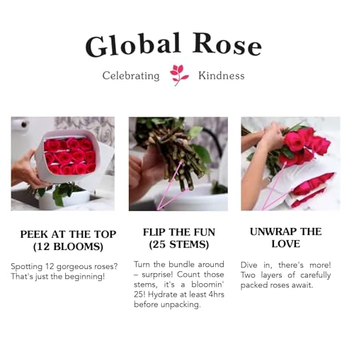 GlobalRose Fresh Cut Red Roses - 50 (2 Bundles of 25) - Real Fresh Flowers Bouquet for Mother's Day, Birthday, Anniversary, Bridal Shower, or Home Decor - Flowers Delivery Gift