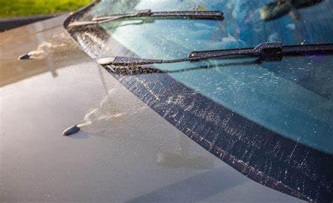 CarPlan Ganzjahres-Scheibenreiniger gebrauchsfertig (5 L) | Insekten-Entferner mit Frostschutz bis -4 °C | Für Scheiben- und Scheinwerfer-Waschanlagen | Mit frischem Duft