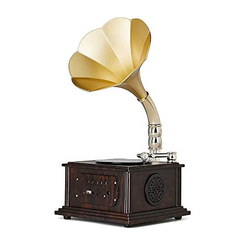 WDWDW Tocadiscos de Madera con Altavoces estéreo, fonógrafo, gramófono, Reproductor de Discos de Vinilo, Sistema de 33/45 RPM, FM, Salida Auxiliar USB, Bluetooth 4.2