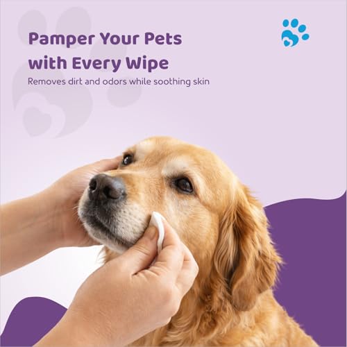 Image of Petoska Pet Wipes Pack of 2 for Dogs, Cats & All Pets - 80 Wipes | pH Balanced, Alcohol-Free, Gentle on Sensitive Skin | Enriched with Aloe Vera, Oatmeal & Lavender | Antimicrobial, No-Rinse Formula