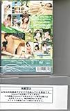 ★廃盤 ★桜井美春 41 DVD