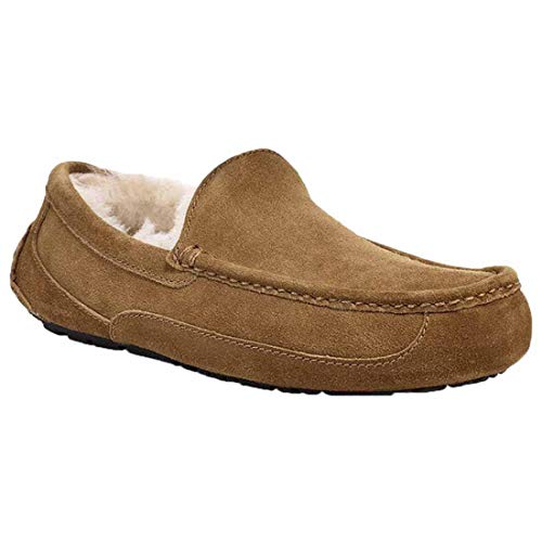 [AO] Y JV [g AXRbg ASCOT 1101110 CHESTNUT US10(28.0cm) [sAi]