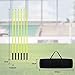 YRHome Slalomstangen Fussball Set 150cm Slalom Poles 6 Slalom Stangen mit Erdspieß Sprunghafte Agilität Stangen Fussball trainingszubehör für Koordinationstraining, Slalom, Fußball, Hundetrainingsset