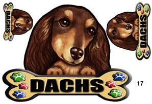 Amazon 犬ステッカー ダックスフンド17 チョコタン シール ステッカー デカール 車 バイク