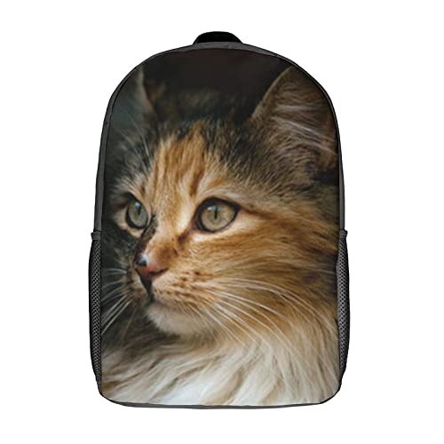 Mochila de moda 3D Cool con diseño de gato y espalda ergonómica