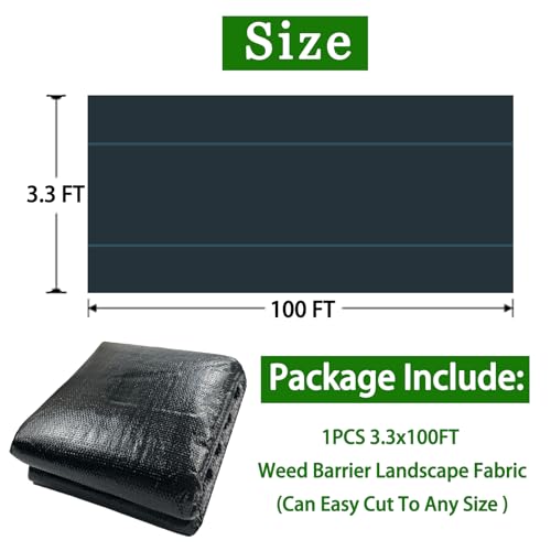 Tierra Y Fertilizantes, Shoes Imagen adicional