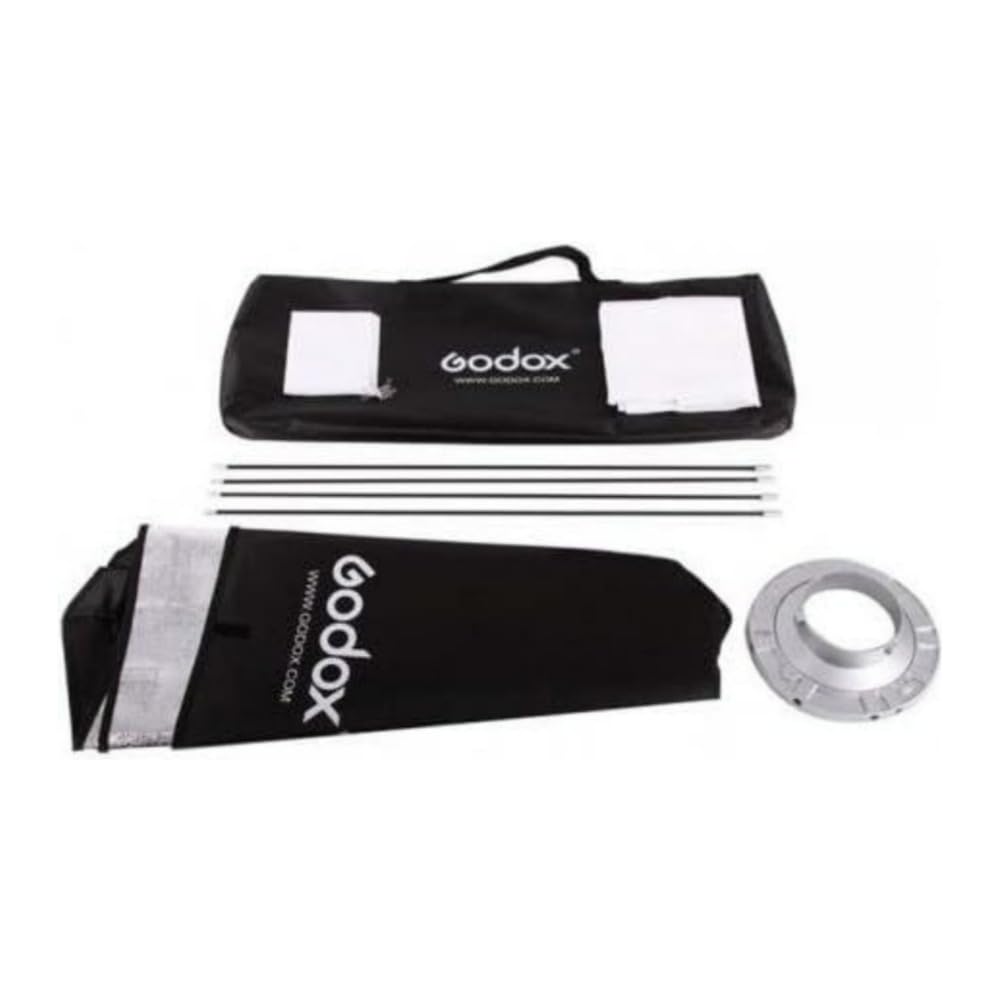 Amazon.com : Godox SL60IIB Video Bi-Color 2 Light Kit with App