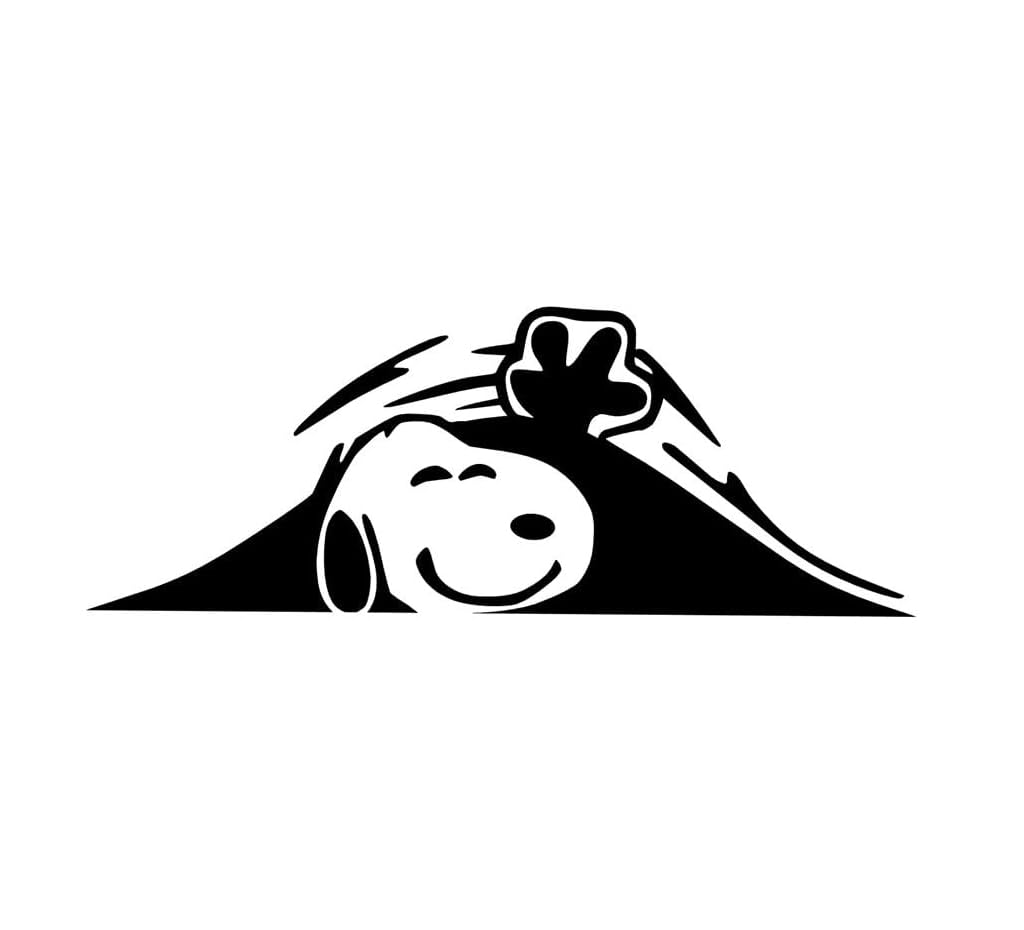 Zwart Peanuts Snoopy voor Unisex | Kids Brand Store