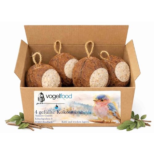 4 ganze Kokosnüsse zum aufhängen gefüllt mit Sämereien Öle/Fette und Mineralstoffen Vogelfood von Samore Vogelfutter wie Meisenknödel
