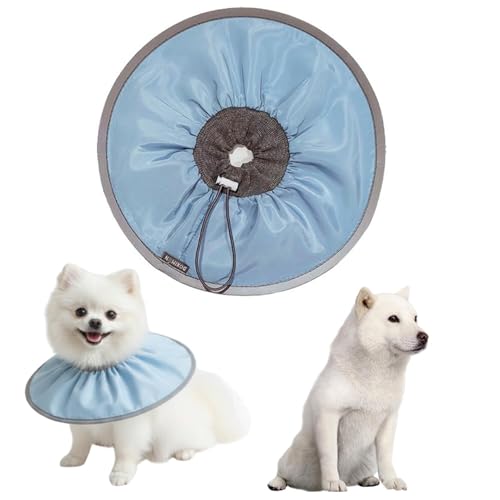 LifetipskC kCLp GUxXJ[ h \tg y pPA ی Ȃߖh~ p EȒP 􂦂 PAJ[(xr[u[j(Lj