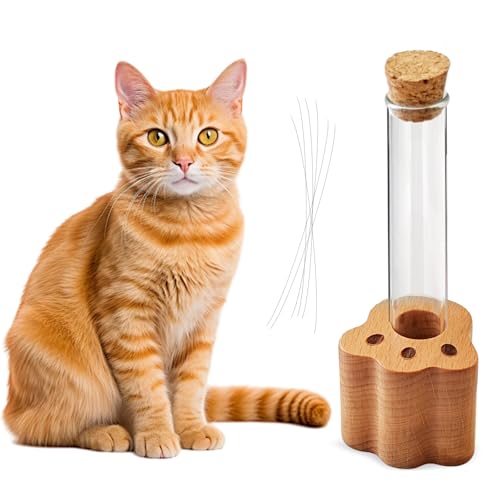 Cat Whisker Jar Mini Glass Vase for Whiskers Cat Whisker Holder Elegant Memorial Gift for Pet Lovers