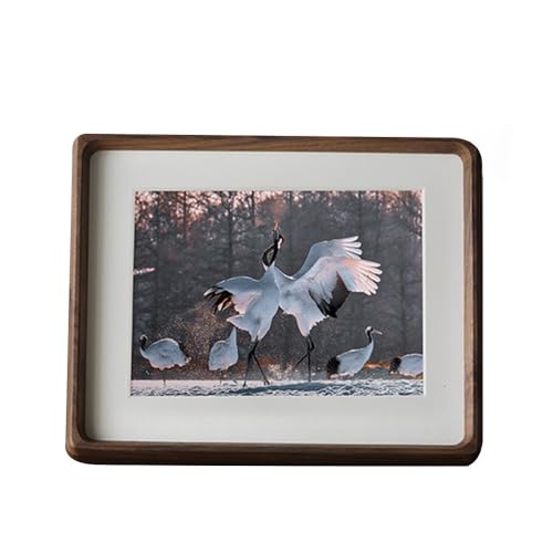 ō؍ރt[y~zV-Y F L~2L Z؂ TCY tHgt[ʐ^đ ʐ^t[ cu up  |XgJ[hp VR ؐz  ёzv[g a LO LOʐ^ 蕨 (Black Waln