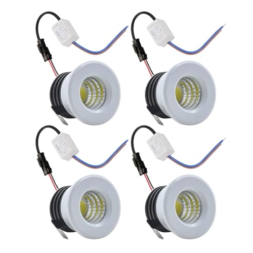 eufeifeiegds 4x 12-24V ߍݎ LED X|bgCg _ECg COB 3W dt 30mm LrlbgCg oX[~[Cgp(White Shell,WARM WHITE 3000K_DC 12-24V)
