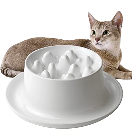 Find The Best Slow Feed Cat Bowl Reviews & Comparison Katynel