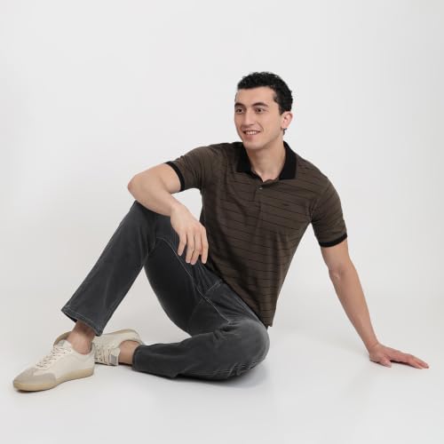 Image of Park Avenue Men Slim Fit Stripe Pattern Pure Cotton Polo Neck Half Sleeve Casual T-Shirt