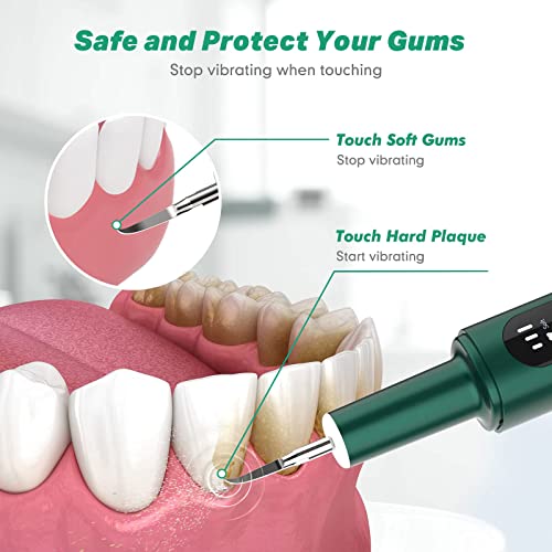 Higiene Bucal Y Dental, Personal Care Appliances Imagen adicional