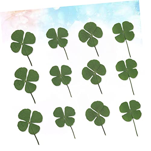 Kit de joyería artesanal con 12 plantas secas de cuatro hojas miniatura 2