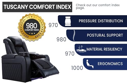 Luxury Home Theater Recliner Seating