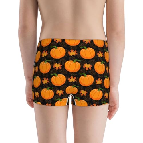 Boys' Cotton Boxer Brief Soft Underwear-Orange Pumpkin And Autumn Maple3