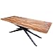 Produktbild riess-ambiente.de Massivholz Esstisch Spider 240cm Sheesham Sterngestell 3,5cm Tischplatte