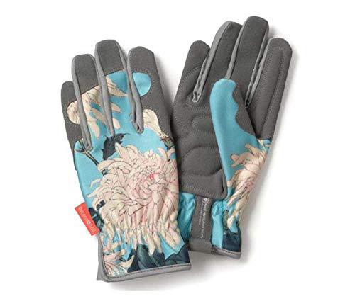Preisvergleich Produktbild Burgon & Ball GRH / glovechrys Chrysanthemum Handschuhe