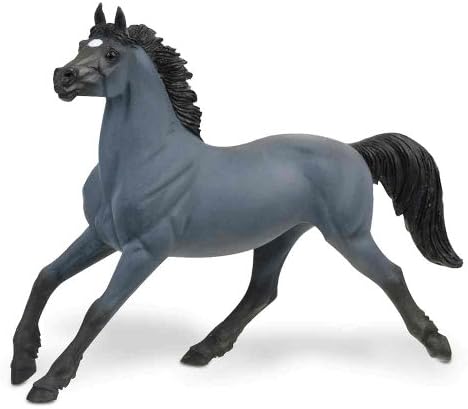 Safari: Roan Mustang