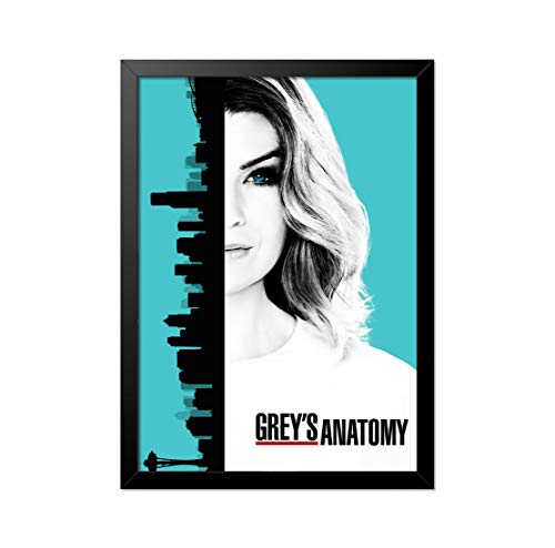 Quadro pôster - Grey’s Anatomy