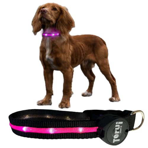 TERUI Lights   Cg LED USB-C [d ^ ^ ^  U  ybgpi u ̎ U Cg (M, p[v)