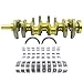 Woosphy Standard Engine Crankshaft & Rod Bearing kit Compatible with 2011-2015 Hyundai Sonata Santa Fe Tucson Kia Forte 2.4L 2359CC L4 23111-2G230 23111-2G200