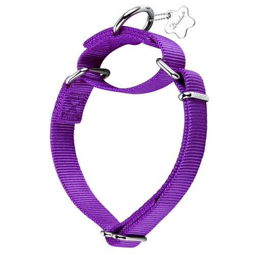 Dazzber Martingale Colliers pour Chiens, Réglable Durable Non échapper Nylon Couleur Unie pour Chien de Petite/Moyenne/Grands Taille M(36cm-53cm), Violet Foncé