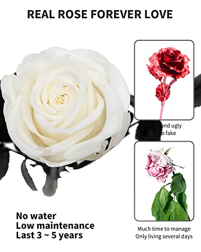 Image of White Flowers for Delivery Prime, Preserved White Roses Flower Gifts for Women, Real Roses Single Rose Gifts for Her, Mom Birthday Gifts from Daughter, Valentines Flowers
