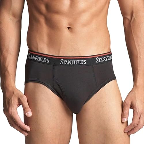 Stanfield's Cotton Stretch Brief (3 Pack)2