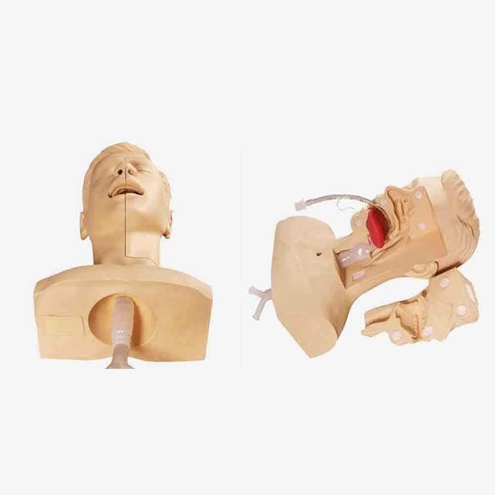 Modelo de enseñanza, Modelo de Entrenamiento de succión Avanzada, Modelo de práctica de succión Avanzada Oral de cavidad Nasal, maniquí para aspiración de esputo, Herramienta de enseñanza ed