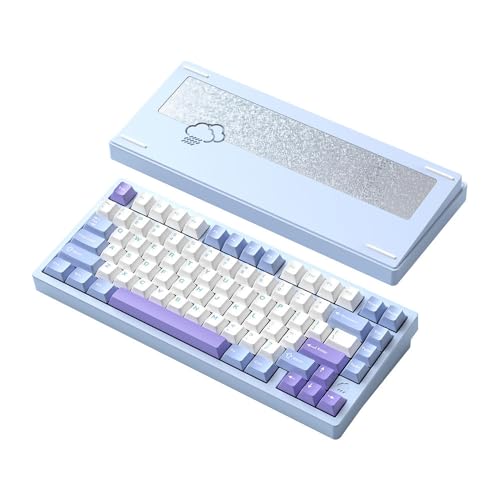 Amazon | WOBKEY Rainy 75 メカニカルキーボード/雨音のような打鍵感