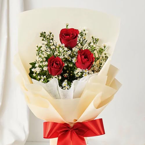 EG2i Stunning Beauty – One Side Bouquet of 6 Red Roses with Cream Paper Wrapping, Red Ribbon Bow – Gifts for Birthday, Anniversary, Love, Valentine, Girlfriend & Boyfriend – Same-Day Delivery 2 41tY5NFw0GL