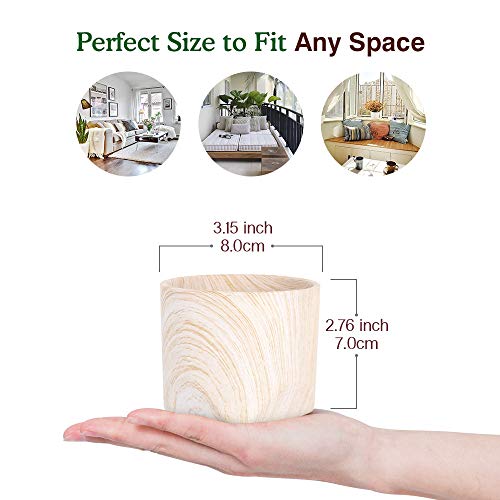 Luxspire 2.8 Inch Small Succulent Pots Set of 4, Mini Ceramic Porcelain Succulent Cactus Plant Pot Planter Container⦠- Afbeelding 3