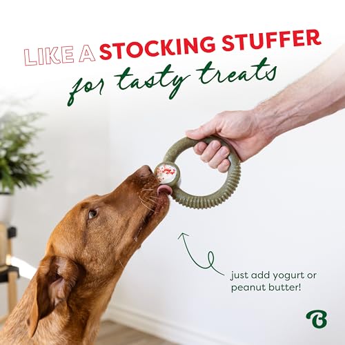 Image of Benebone Peppermint Ring - Limited Edition Holiday Flavor, Durable Chew Toy for Aggressive Chewers, Made in USA, Large