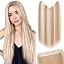 Honey Blonde Highlight Bleach Blonde