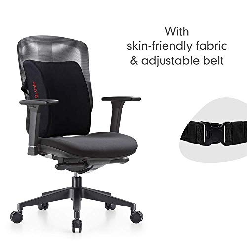 Image of ZAXTY Back Rest Lumbar Half Support for Chair Back Pillow for Car Best Use For Office Home Travel Cars Seat Provides Low Back Support Improves Posture Provides Comfort |Blue|Universal