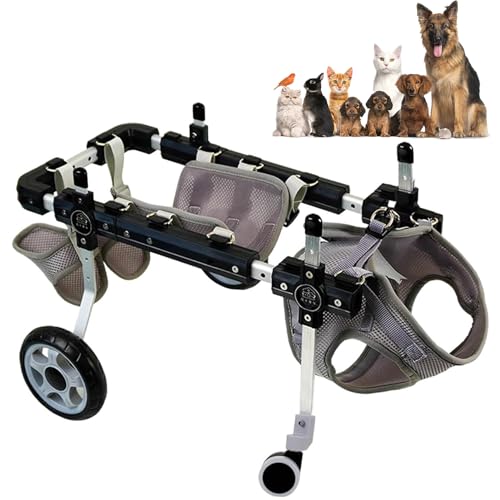 4輪猫/犬用車椅子、調整可能な犬用歩行補助具 前脚リハビリ用、犬用車椅子カート 股関節サポート脚装具、フルサポート犬用歩行補助具、&トレーニング用 M