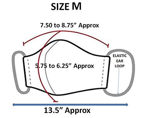 Touchstone Striped Cotton Small Size Face Masks Reusable Washable Handcrafted Double Layer for women, men. (Pack of 3). Brown Blue3