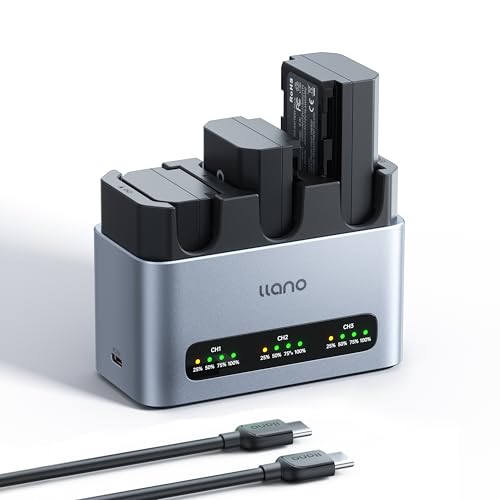 Batteries NP-FZ100 pour Sony A7CII ZV-E10II et chargeur 30W idéal en voyage
