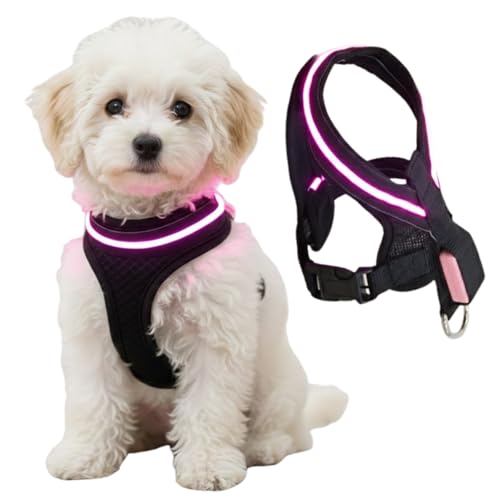 Dot Family sJn[lX n[lX p LEDCg UCg  U ̖h~ dr [dsv F320m ȒP yʐ݌v S M LTCYΉ (sN, M)