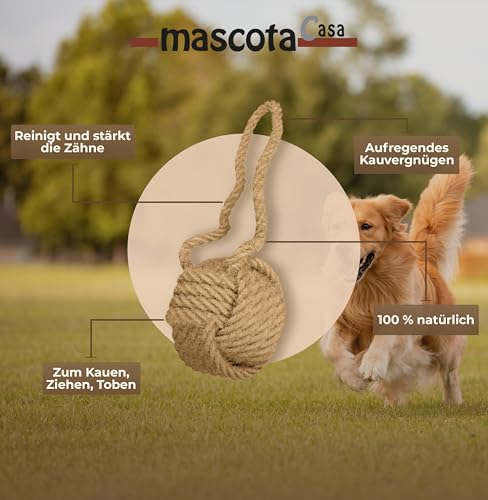 mascota casa - Natürliche Hundeseil Spielzeug aus 100% Kokosfaser – Nachhaltiges Kauspielzeug, Zahnpflege-Support beim Zahnwechsel, Robustes und Umweltfreundliches Hundespielzeug (Coco Ball, Large)