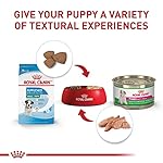 Royal Canin Size Health Nutrition Small Breed Dry Puppy Food, Supports Brain Development, Immune Support, and Digestive Health, 14 lb Bag - Image 5