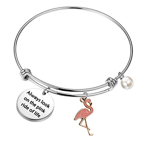 WSNANG Flamingo Jewelry Always Look On The Pink Ride Of Life Bracelet Expandable Bangle Flamingo Lover Gift Inspiration Flamingo Gift for BFF (Flamingos BR)