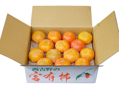 ޗǌY xL` iӂ䂪j Gi M`2LTCY 7kg ij Y t[c ʕ