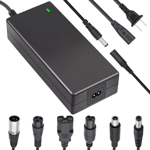 JICTTIPN 54.6V 2A Fast Charger with 7-in-1 Plugs 48V Electric Scooter Charger Universal Battery Charger Compatible with Jetson Gotrax Voyage GXL Razor Ninebot Segway Hiboy & More