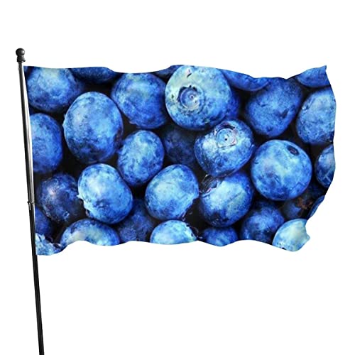 Drapeaux décoratifs d'extérieur Blueberry Drapeaux Drapeaux décoratifs d'extérieur avec 148 oeillets métalliques,résistants aux intempéries 90 x 150 cm Cover